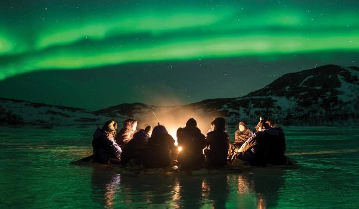 Northern Lights Minibus Chase from Tromso