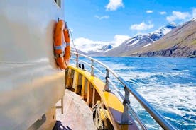 Boottochten vanuit Siglufjörður