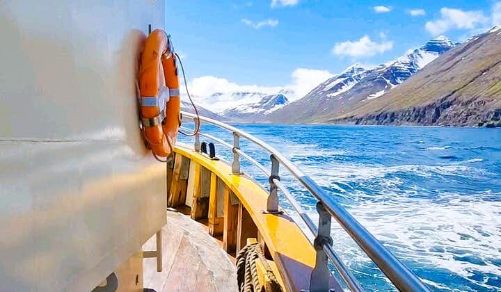 Excursiones en barco desde Siglufjörður