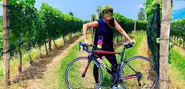 E-Bike Tour Comomeer en Zwitserse wijngaarden