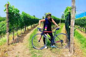 E-sykkeltur Comosjøen og sveitsiske vingårder
