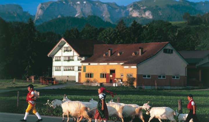 从苏黎世出发的瑞士芝士、巧克力和山间小团体游