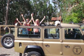 Recorrido privado de medio día en jeep por Madeira: este u oeste