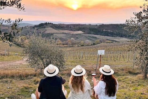 2 vingårdar Chianti vinprovning privat rundtur