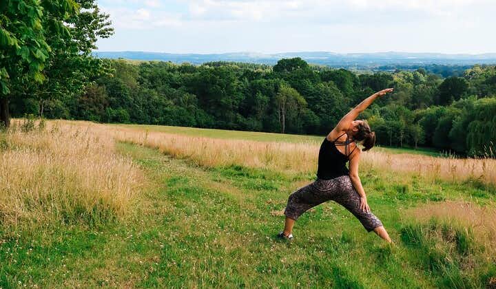 Yoga, Forest Bathing and Foraging day retreat near Brighton