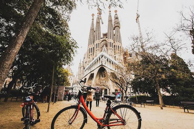 与当地专家的私人巴塞罗那街头艺术和自行车之旅