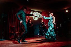 Flamenco Passion in Málaga: Show with Optional Tasting