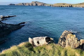 Placenames & Their Amazing Stories: includes a West Cork Picnic