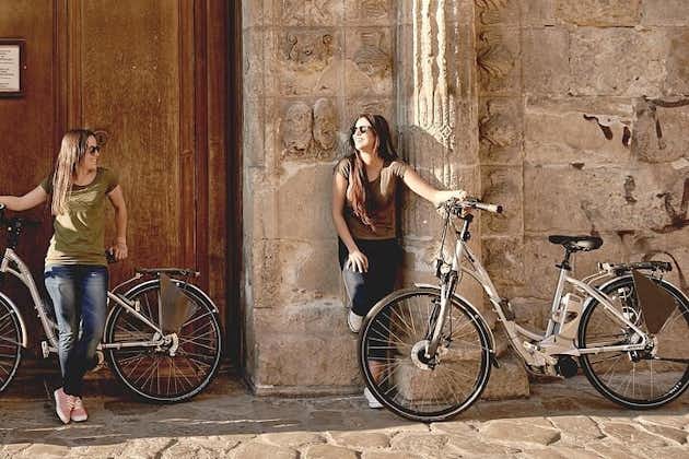 One-of-a-Kind Granada: Private Electric Bike Tour Specialized