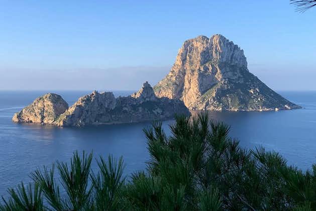 Udforsk fantastiske Ibiza på en privat heldagstur