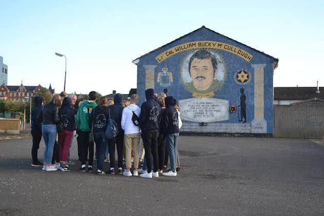 The Troubles ,murals,history,and peace walls 2 hrs taxi tour