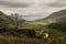 National Trust - Carneddau and Glyderau, Llandygai, Gwynedd, Wales, United Kingdom