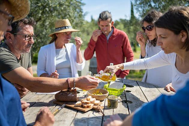 Visite en petit groupe, vins et olives du Languedoc au départ de Montpellier