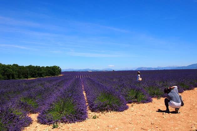 Lavender Fields Tour i Valensole fra Marseille