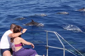 Points forts de Madère en Jeep, visite de Cabo Girão et observation des dauphins au départ de Funchal