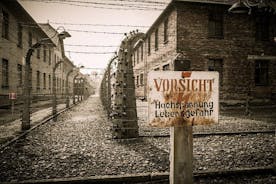 Krakow og Auschwitz Small Group Tour fra Lodz med lunsj