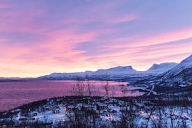 Halvdagstur til Abisko Fra Kiruna: Sneskovandring