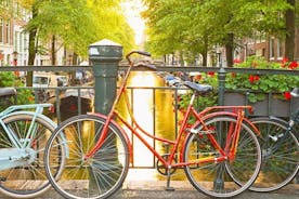 Amsterdam City Center & History Guided Walking Tour - Semi-Private 8ppl Max