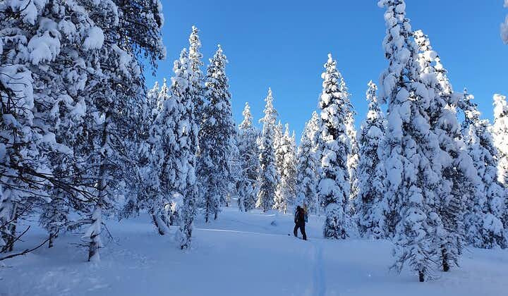 Day Time Guided Ski Adventure Near Lake Norvajärvi