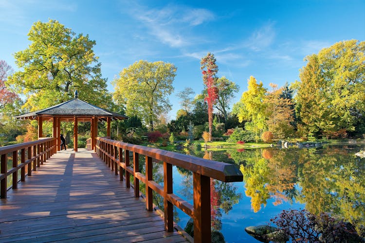 Japanese garden in Wroclaw, Poland