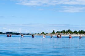 Tour di due giorni in kayak nell'Arcipelago di Stoccolma