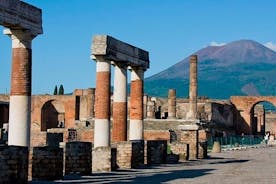 Combined Pompeii-Vesuvius Tour with Wine Tasting