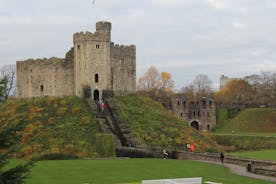 Private Tagestour durch Cardiff, einschließlich Cardiff Castle, St. Fagans und Cardiff Bay