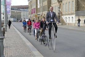 哥德堡自行车之旅，带导游的自行车之旅