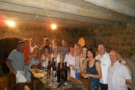 Klassinen kiertue viininmaistajaisilla Dubrovnikista