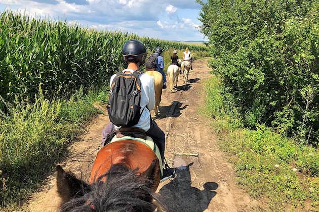 Horseback Riding Tour In Brasov - Ride Through Fields, Forests & Hills