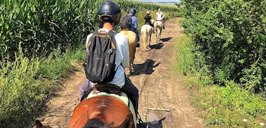 Horseback Riding Tour In Brasov - Ride Through Fields, Forests & Hills