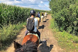 ブラショフでの乗馬ツアー - 野原、森、丘を駆け抜ける