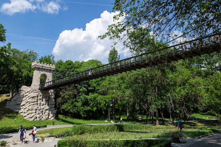 Photo of Suspended bridge in Romanescu Park, Craiova.