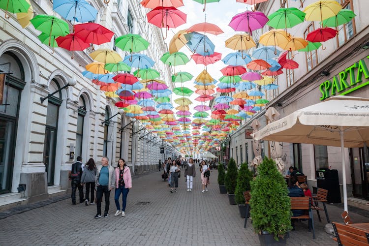 Strada Alba Iulia street, an umbrella street of Timisoara.