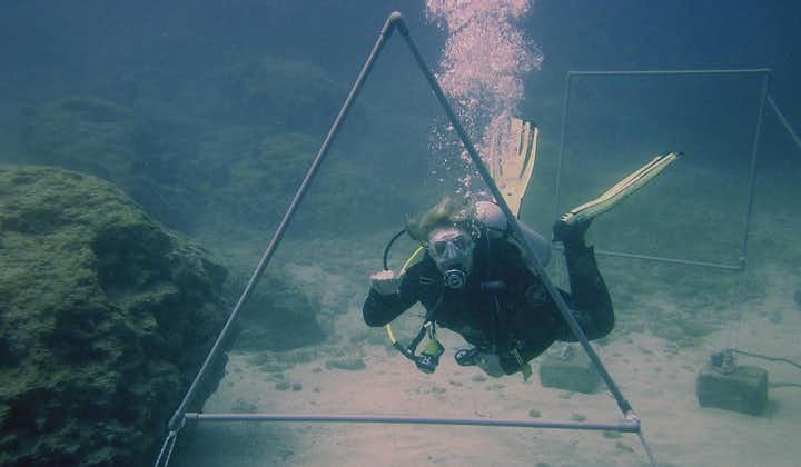 Local Dives in Cyprus for Certified/Licensed Divers