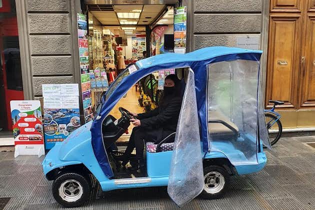 Electric Car Panoramic Tour of Florence