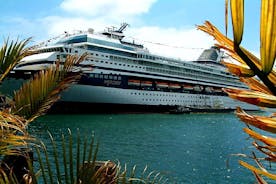 Excursão privada personalizada pela Riviera Francesa saindo do porto de Cannes 8H