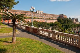 Escursione a terra da Napoli: Tour panoramico di mezza giornata di Napoli e Pompei
