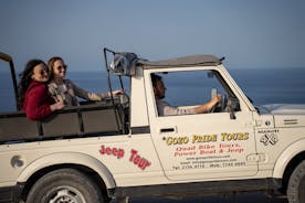 Visite privée en jeep à Gozo (journée complète)