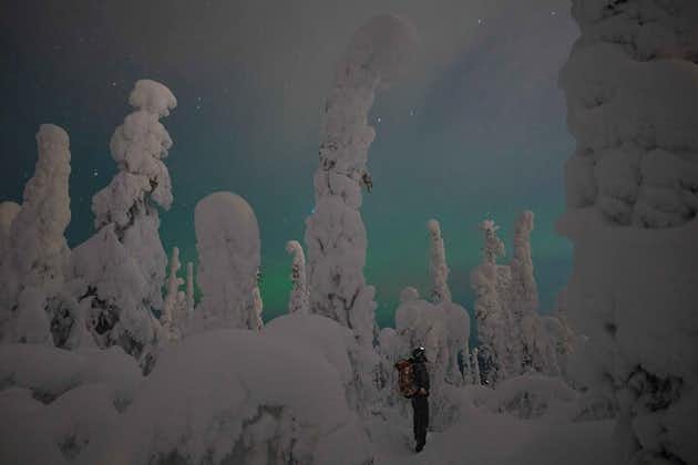 Smågruppe Aurora Borealis Snowshoeing Adventure fra Rovaniemi