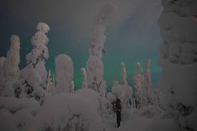Aurora Borealis sneeuwschoenavontuur met kleine groep vanuit Rovaniemi