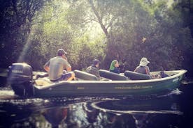 多瑙河三角洲私人乘船游览Letea Forest（导游）