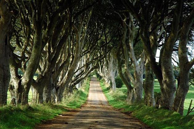 Game of Thrones og Giant's Causeway Day Tour fra Belfast