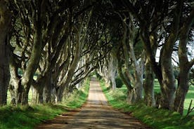 Game of Thrones-Drehorte in Nordirland, Giant's Causeway ab Belfast