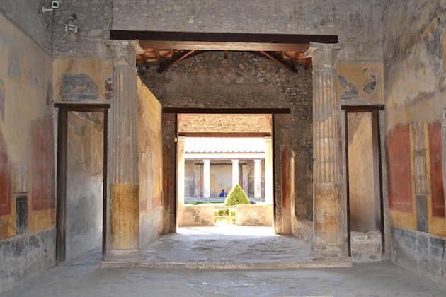 Il meglio delle antiche città romane Tour in 1 giorno: visita Pompei Oplontis ed Ercolano