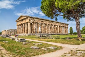 Heldags privat tur - templene i Paestum og ruinene av Pompeii