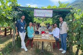 Visite des vins de Toscane à Lucques en navette