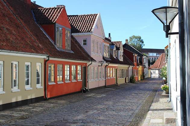 Private Transfer From Copenhagen To Ribe With a 2 Hour Stop