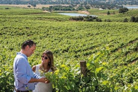 Visite privée: 2 jours pour découvrir le meilleur de la route des vins de l'Alentejo