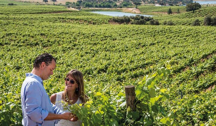 Private Tour: 2 days to discover the best of Alentejo wine route